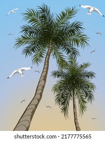 Palmen und Seegras in der Illustration. Farbige Vektorgrafik mit Palmen und Seegras am Himmel.
