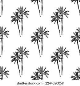 Palm trees seamless pattern on white background
