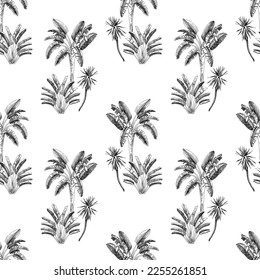 Palm trees seamless pattern on white background