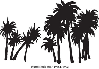 Palm Trees Seen In Silhouette