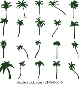 palm trees set isolated on white background.