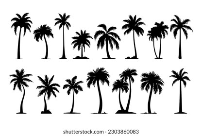 Palm Trees Set isolated on white background. Vector tropical palms silhouettes collection for design, web, illustrations.