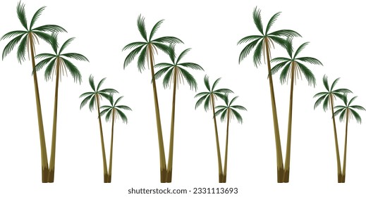 palm trees set isolated on white background. Palm silhouettes. Design of palm trees for posters, banners and promotional items. Vector illustration