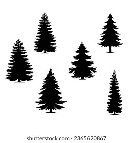 Las palmeras están aisladas en un fondo blanco. Siluetas de palmeras. Diseño de palmeras para afiches, carteles y artículos promocionales. Ilustración del vector