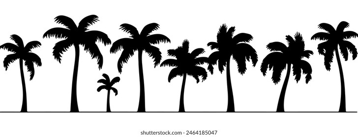 Palmeras aisladas sobre fondo blanco