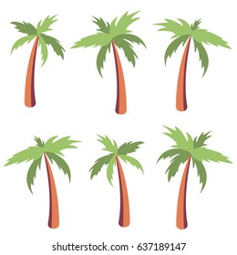 Palm trees set isolated on white background