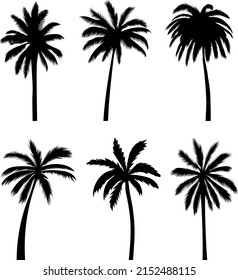 palm trees set silhouette, on white background, isolated, vector