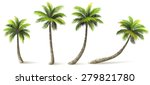 Palm trees with shadow isolated on white. Vector illustration