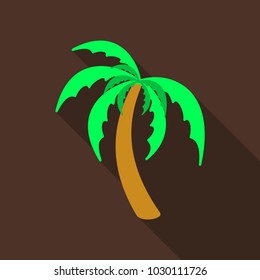 Palm trees with shadow isolated on background. Vector illustration