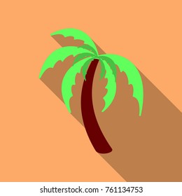 Palm trees with shadow isolated on background. Vector illustration