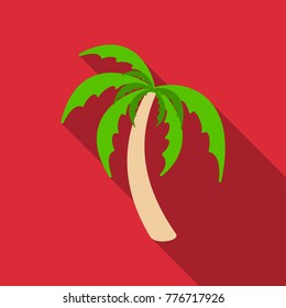 Palm trees with shadow isolated on background. Vector illustration