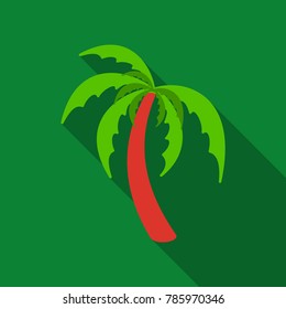Palm trees with shadow isolated on background. Vector illustration