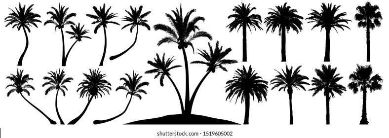 Palm trees silhouette. Coconut tree date palm. Vector set tropical trees