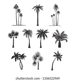 Palm trees silhouette collection, hand drawn doodle sketch, black and white vector illustration