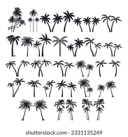 Diseño de la ilustración vectorial de la colección de siluetas de palmeras editable y redimensionable.

