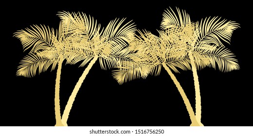 Palm trees silhouette at dark background. Vector illustration EPS10