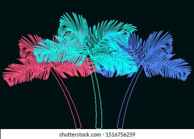 Palm trees silhouette at dark background. Vector illustration EPS10