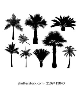 Palm trees silhouette good use for any design you want.