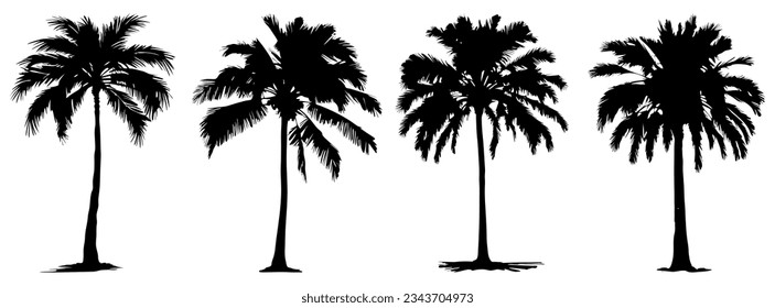 palm trees silhouette illustration set isolated on white, decorative element for poster, banner and background