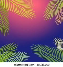 Palm trees silhouette at night background. Tropic summer vector illustration.