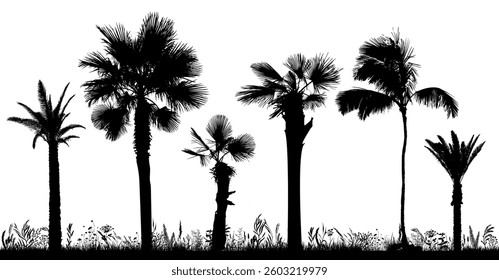 Palm trees silhouette. Not AI, Vector illustration