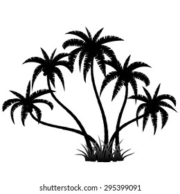 Palm trees silhouette on white, vector illustration
