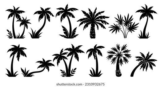 Palm trees silhouette set. Black exotic plants of different shapes. Banana or coconut tropical trees. Wild flora in africa and jungle. Hand drawn vector collection isolated on white background