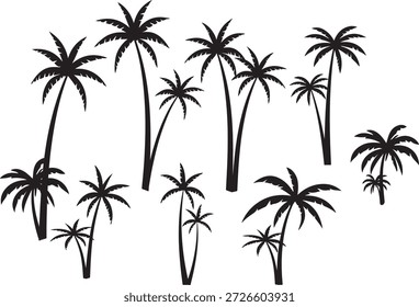  Palmen Silhouette, , Palme, Baum, 