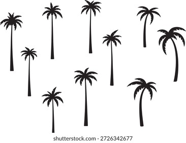 Palmen Silhouette, Palmen Silhouetten, Palmen Silhouetten, Palmen, Baum, 