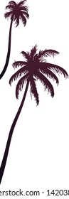 Palm trees silhouette vector illustration. Tropical flora, Exotic plants. Decorative border