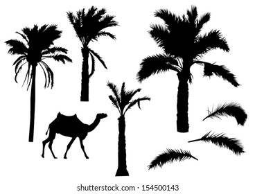 Palm trees silhouettes