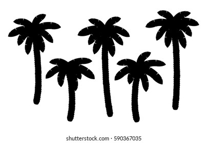 Palm trees. Silhouettes