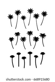 Palm trees. Silhouettes