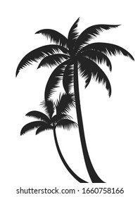 Palm trees silhouettes for decor. Vector illustration