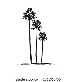 Palm trees silhouettes, hand drawn doodle, sketch in pop art style, black and white vector illustration