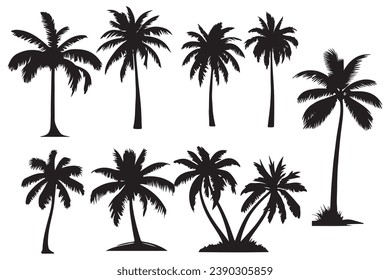 palm trees silhouettes. Isolated coconut on the white background.