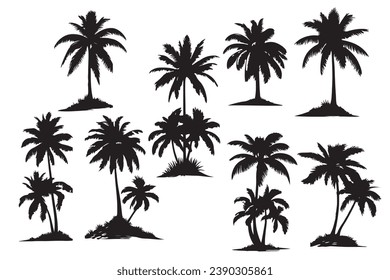 palm trees silhouettes. Isolated coconut on the white background.