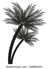 Palm trees silhouettes isolated on white