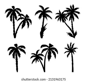 Palm trees silhouettes isolated on white background. Tropical botany, hawaiian coconut palm with leaf. Vector black illustration