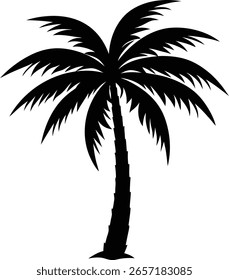 Siluetas de las palmeras en el fondo blanco, Ilustración vectorial
