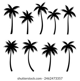 Palm trees silhouettes summer set. Palm trees isolated on white background.