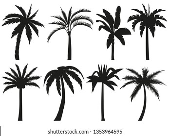 Palm trees silhouettes. Tropical leaves, retro palms tree and vintage silhouettes. Coconut palm, exotic lush sketch or hawaii coco palms. Vector illustration isolated icons set