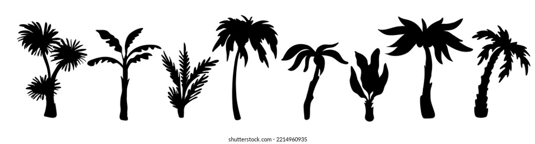 Palm trees silhouettes. Variety exotic plants, black tropical jungle elements, summer flora, rainforest objects, botanical subtropical climate branches, swanky vector isolated set