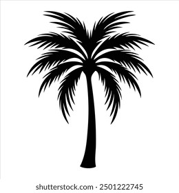 palm trees silhouettes Vector illustartion