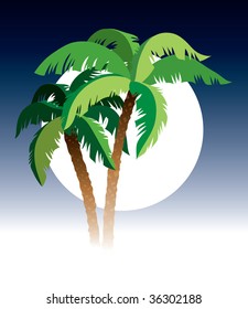 Palm trees, sky and moon in the background