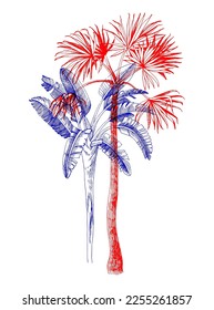 Palm trees with stereo effect.