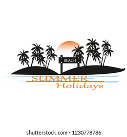 palm trees and summer