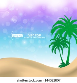 palm trees summer background
