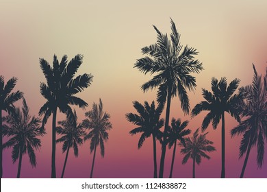 Palm trees summer background. Vector illustration