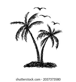 Palm trees, sun and seagulls. Vector illustration